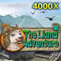 The Llama Adventure